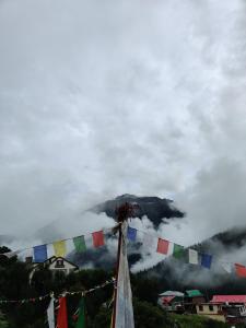 hotel mount kailash