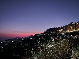 shimla