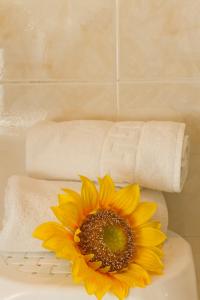 hostal siete picos