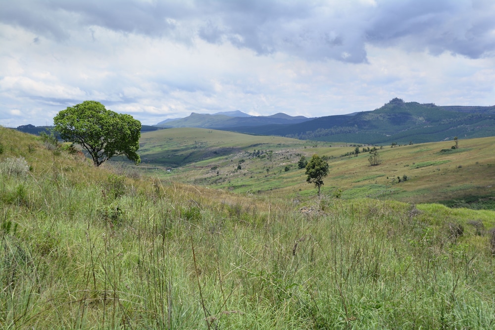 thaba tsweni lodge and safaris
