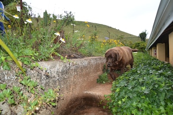 thaba tsweni lodge and safaris