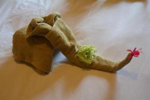 thaba tsweni lodge and safaris