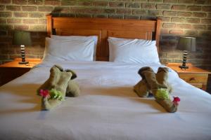 thaba tsweni lodge and safaris