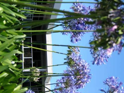 city central motel apartments