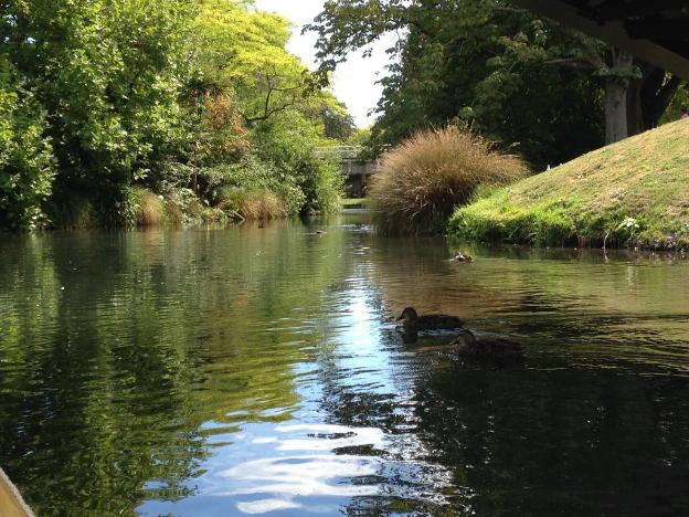 city central motel apartments