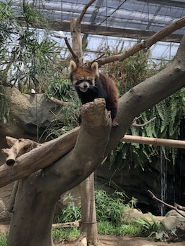 smile hotel kobe motomachi