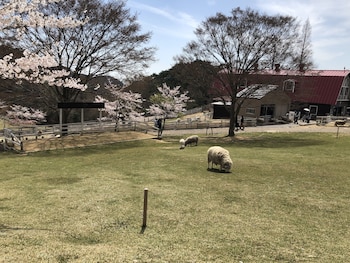 smile hotel kobe motomachi