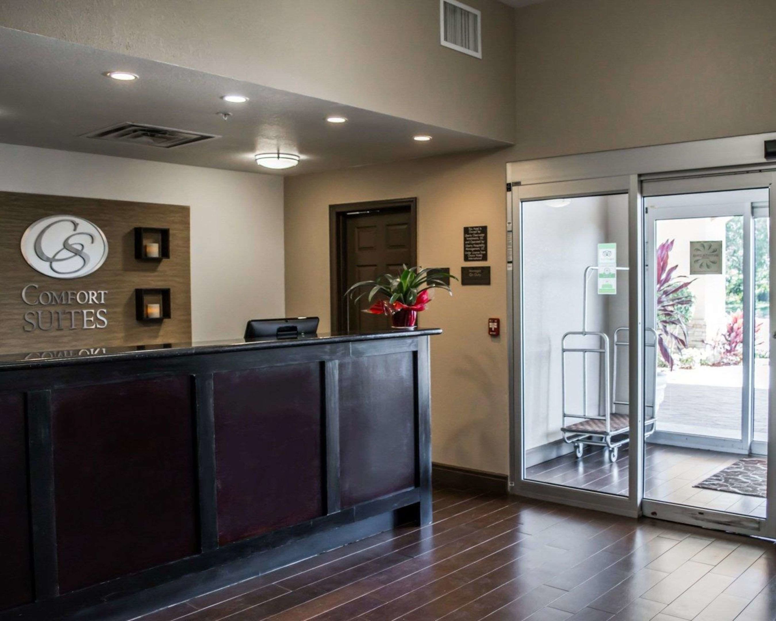comfort suites clearwater dunedin