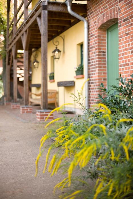 zum hauenden schwein