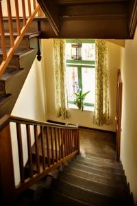 zum hauenden schwein