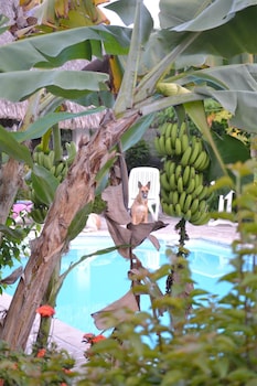 Pension De La Plage,Papeete>>Paea,3 star