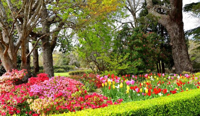 leura gardens resort