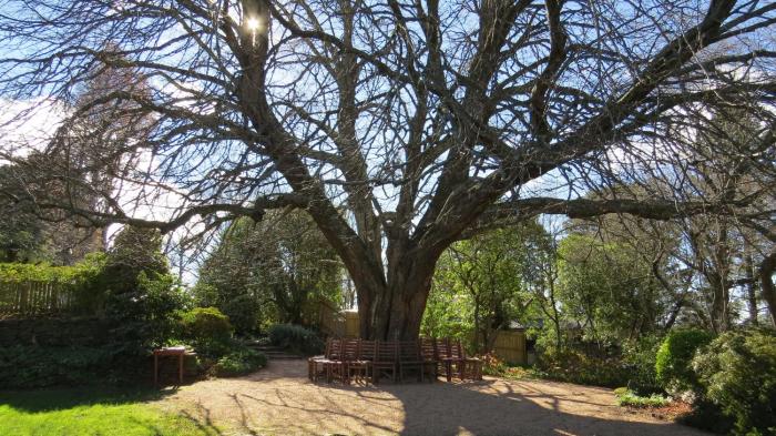 leura gardens resort
