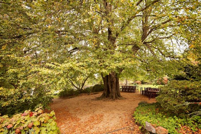 leura gardens resort