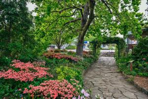 Leura Gardens Resort,Blue Mountains>>Black Mountain,3 star