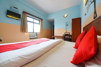 collection o blue bird