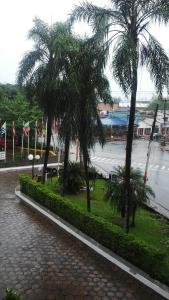 puerto iguazu