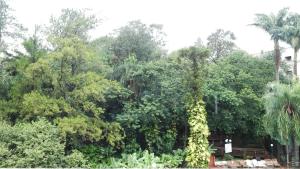 puerto iguazu