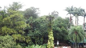 puerto iguazu