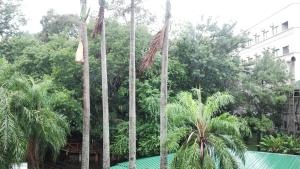 puerto iguazu