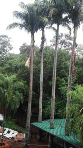puerto iguazu