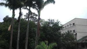 puerto iguazu