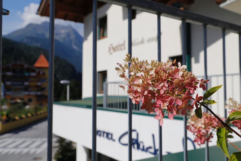 hotel and suites gluck auf