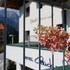 hotel and suites gluck auf
