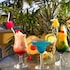 amsterdam manor beach resort