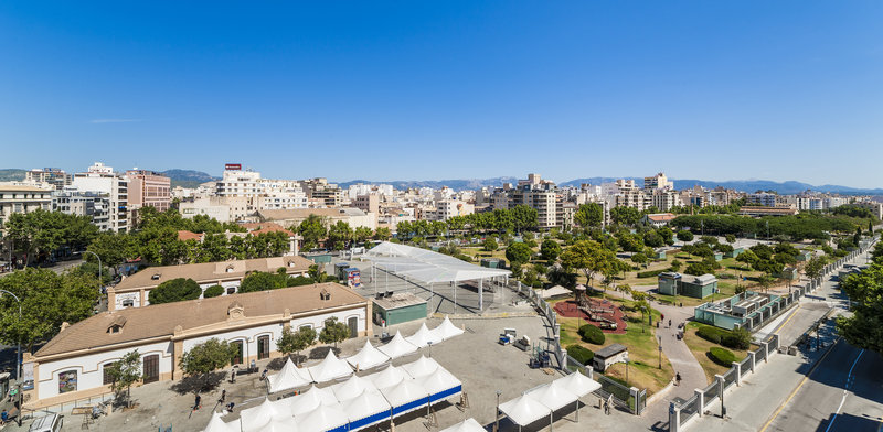 palma de mallorca