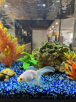 hotel les sables urban style by logis hotels