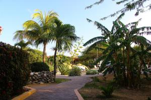 Camacuri Residence & Apartments,Aruba>>Arikok National Park,3 star