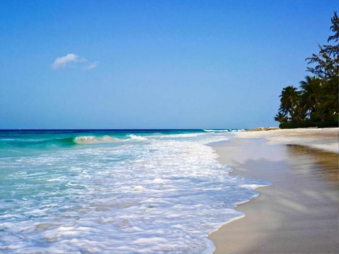 turtle beach by elegant hotels all suites all inclusive