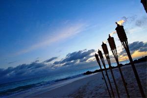 turtle beach by elegant hotels all suites all inclusive