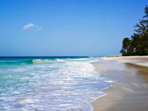 turtle beach by elegant hotels all suites all inclusive