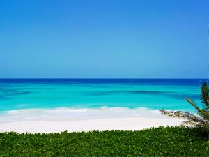 turtle beach by elegant hotels all suites all inclusive