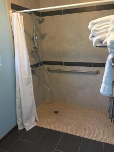 dolphin cove motel