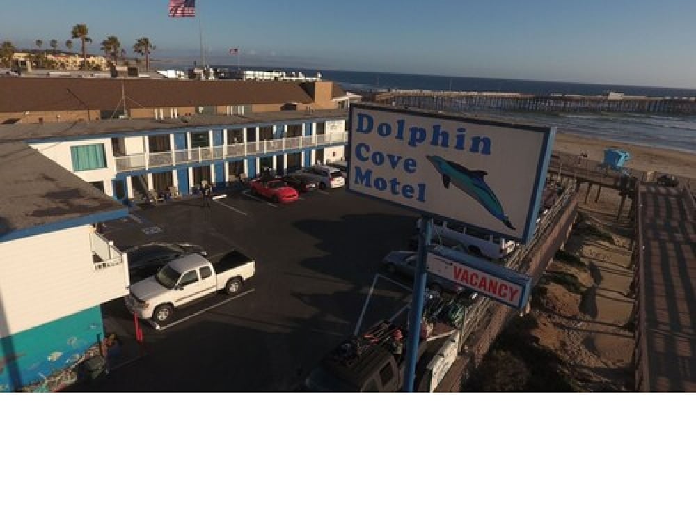 dolphin cove motel
