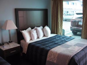 dolphin cove motel