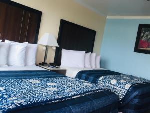 dolphin cove motel