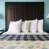 dolphin cove motel