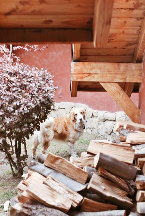 peninsula petit hotel