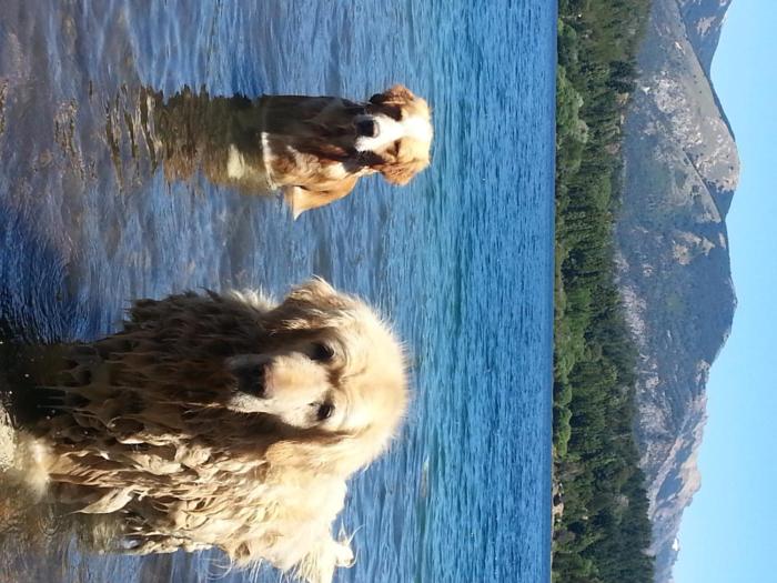 peninsula petit hotel