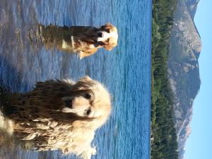 peninsula petit hotel