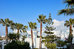 mr and mrs white paros