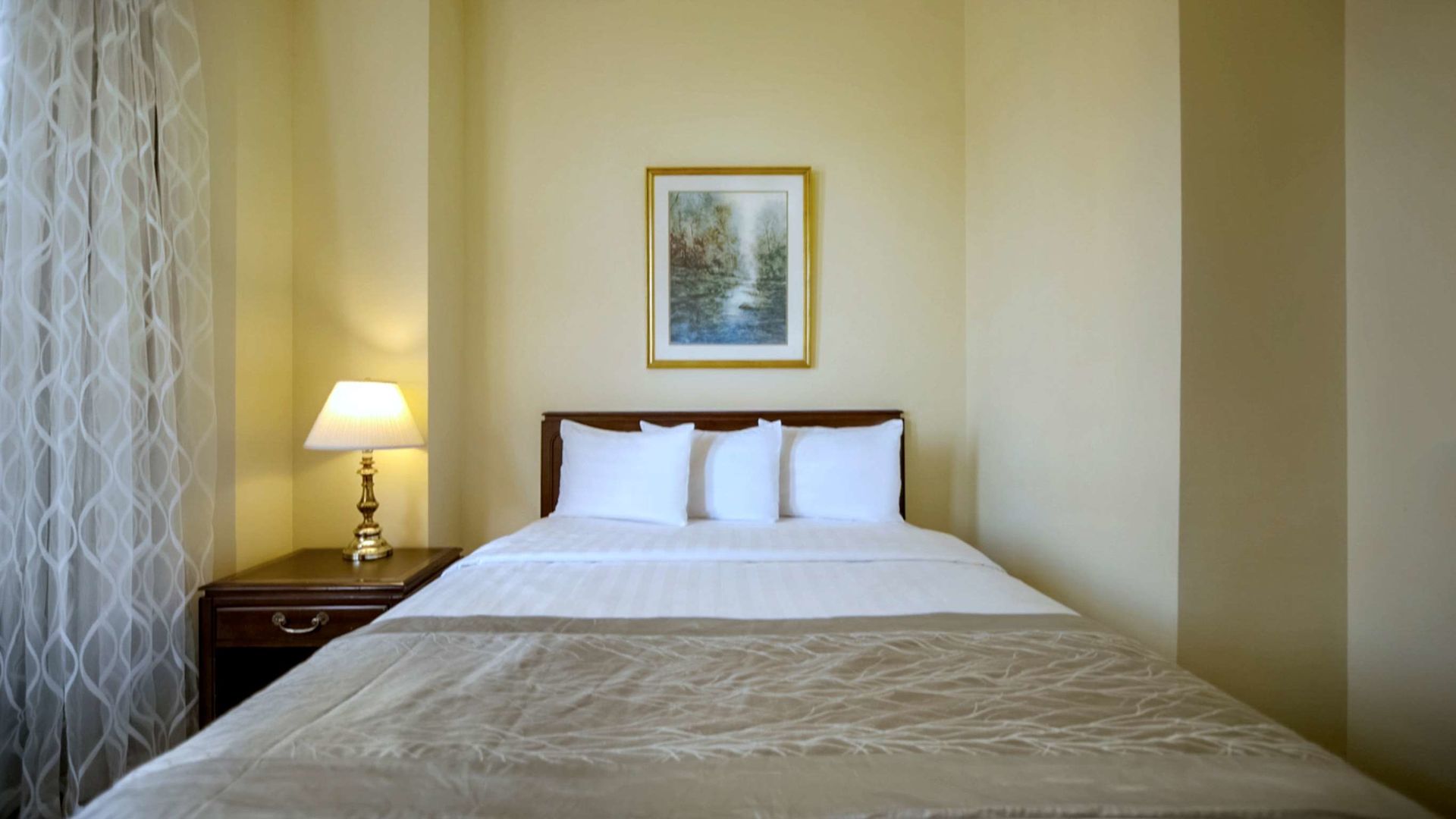 congress plaza hotel