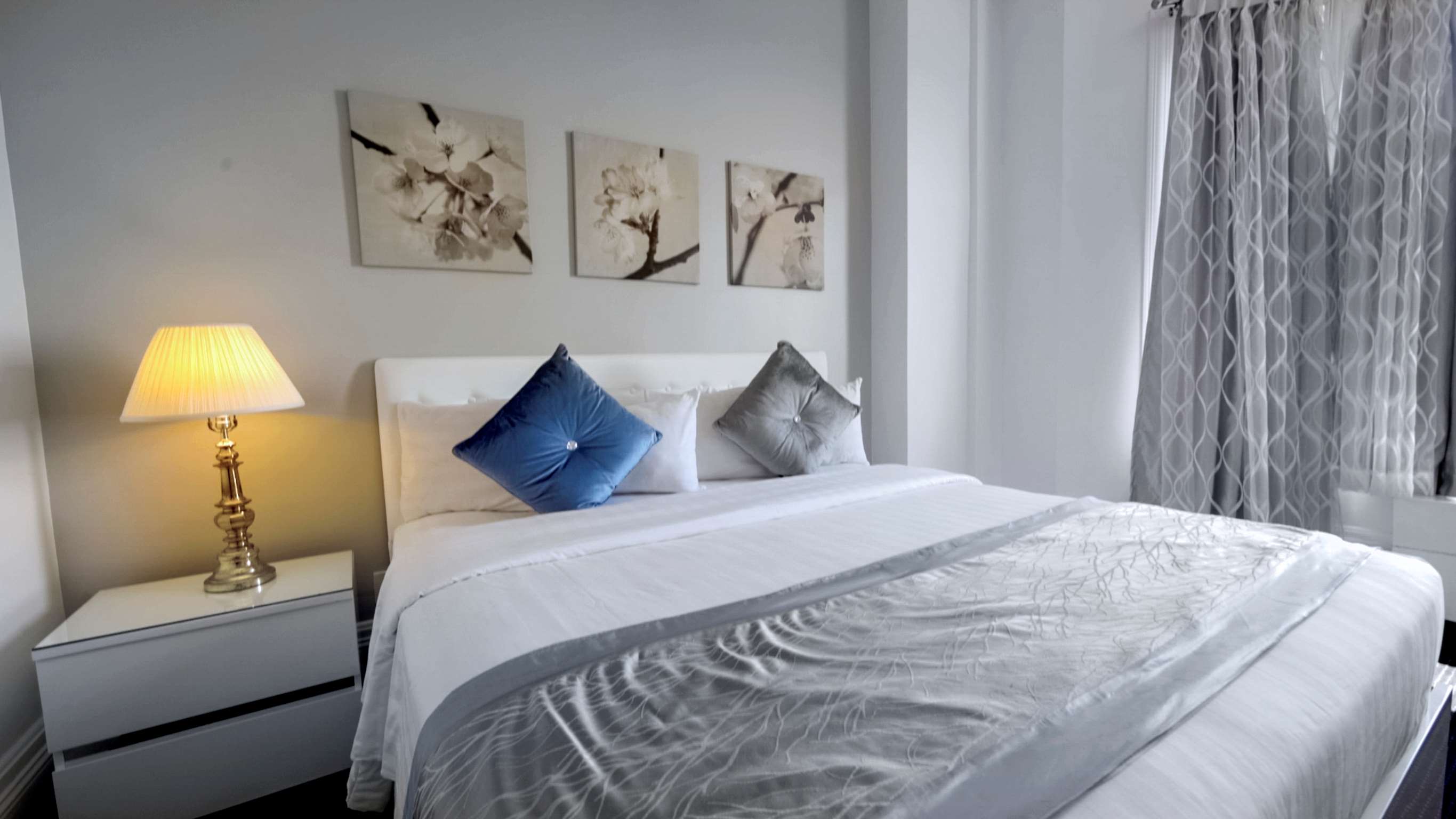 congress plaza hotel