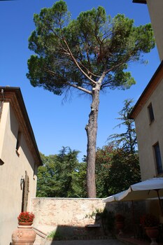 borgo dolciano