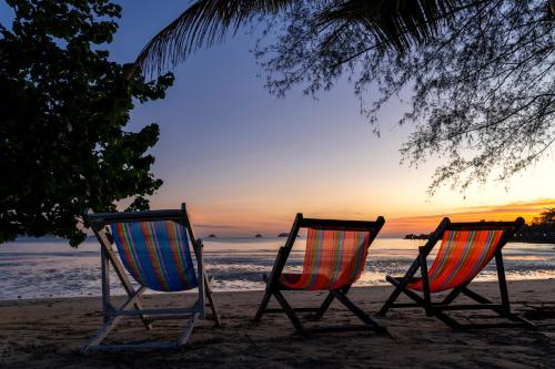 coconut beach resort