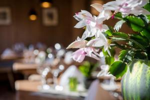 sankt anton am arlberg